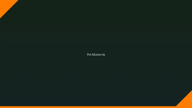 萌宠时刻主题赛 - 8868娱乐 UGC视频竞赛